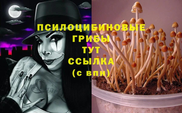 тгк Алзамай
