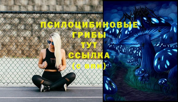 apvp Абинск